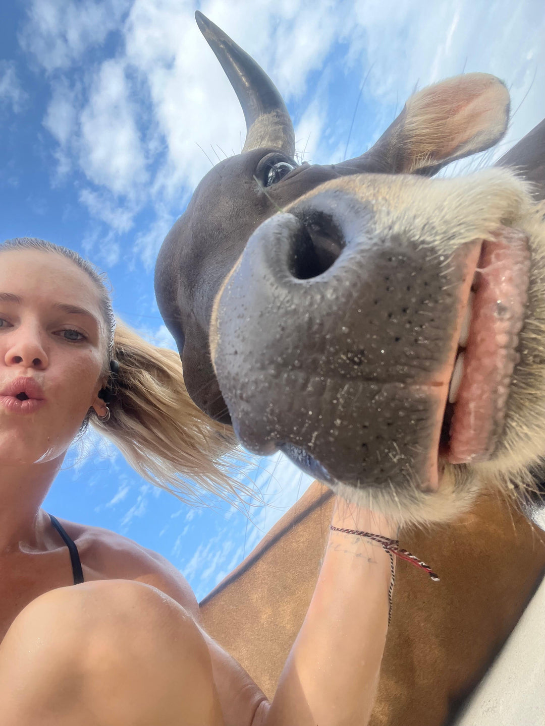 One Lap At A Time. Jillians recap of Indonesia’s first backyard ultra.