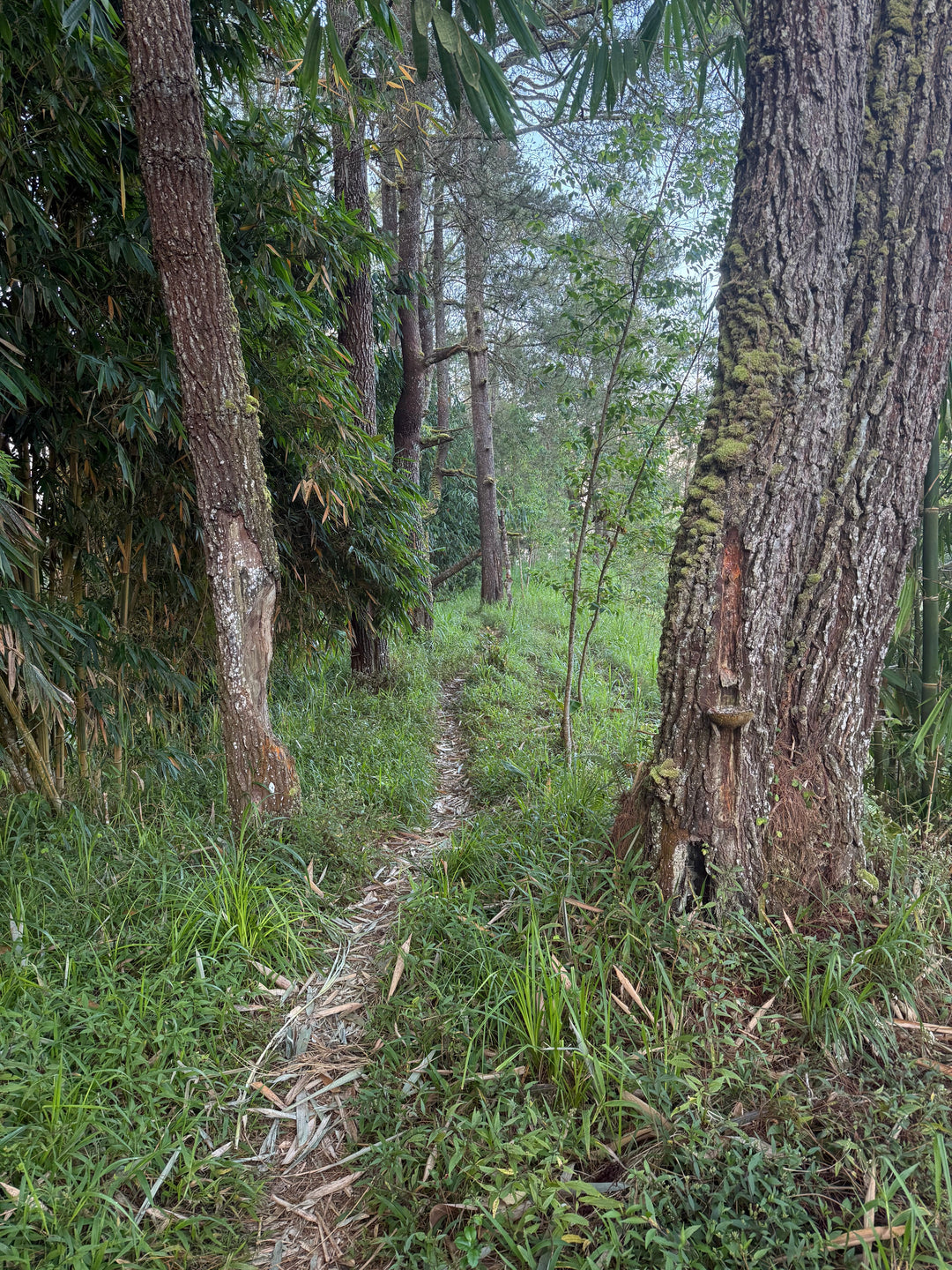 Two sides to every coin - the spiritual side of running