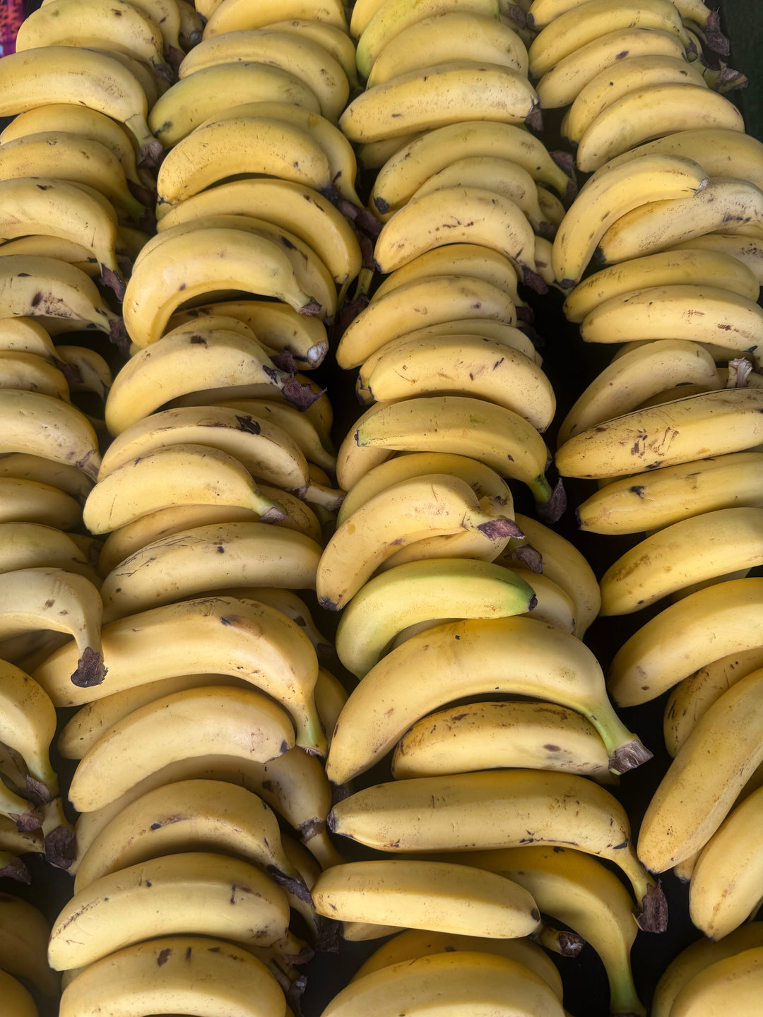 Race Report & Some thoughts on Self Sabotage.