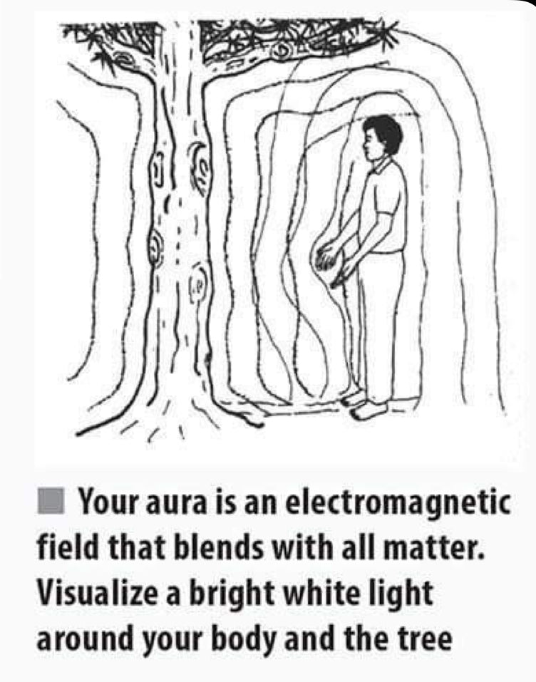 GRATITUDE - The ultimate performance enhancer.